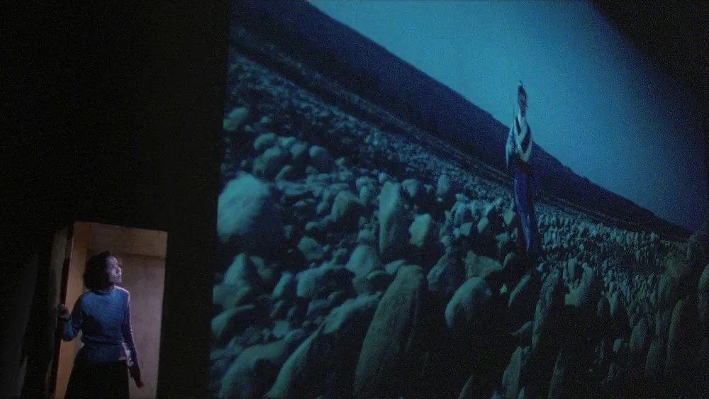 Film backdrop for Alula FF Presents: Dragon Inn/Goodbye, Dragon Inn