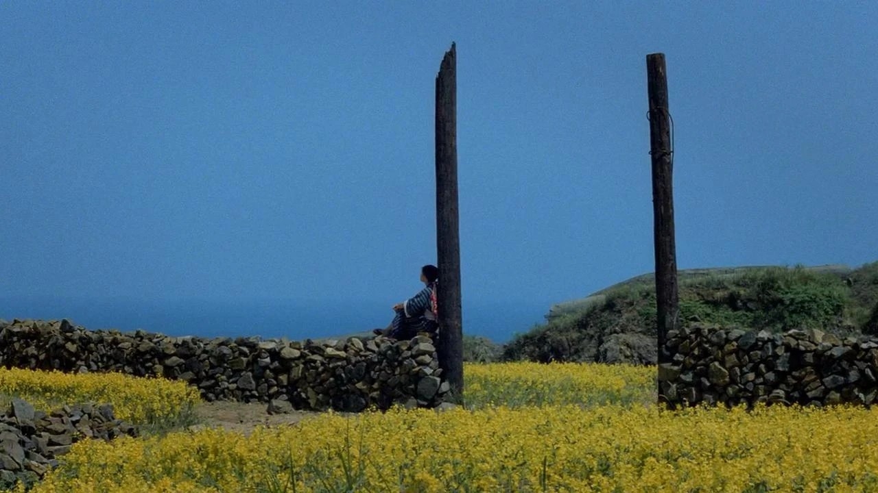 Film backdrop for Alula FF: Hill of No Return